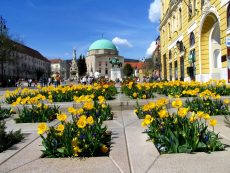 Hungary has a university since 1367, which is their oldest university – the University of Pecs